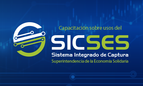 Capacitación usos del Sistema Integrado de Captura (SICSES)