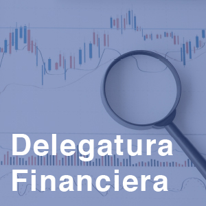Delegatura Financiera