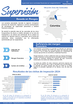 Portada boletín supervisión.