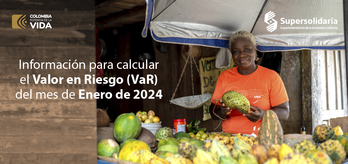 Información para el cálculo del Valor en Riesgo (VaR) del mes de enero de 2024 Información para el cálculo del Valor en Riesgo (VaR) del mes de enero de 2024