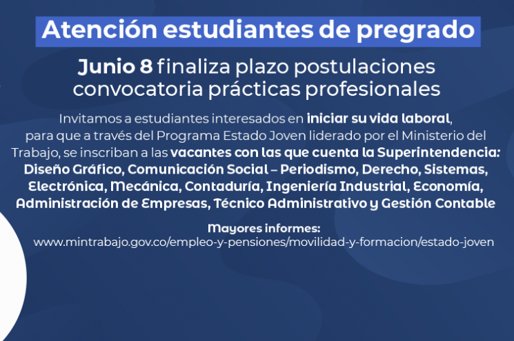 Nuevo plazo postulaciones prácticas profesionales programa Estado Joven Nuevo plazo postulaciones prácticas profesionales programa Estado Joven