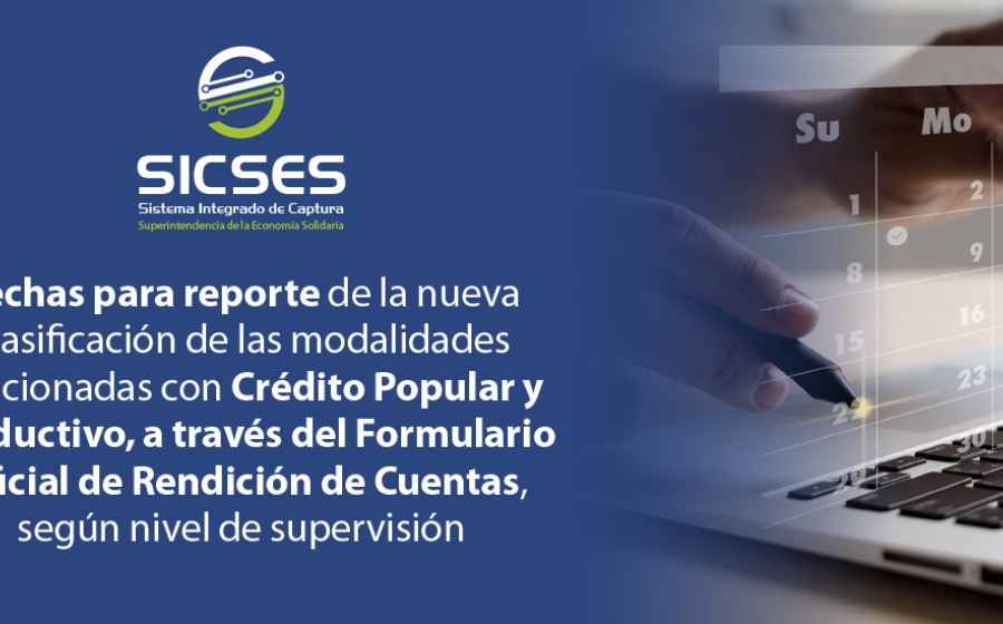 Reporte de la información solicitada a través de la Circular Externa N° 49 de 2023 – Decreto 455 de 2023