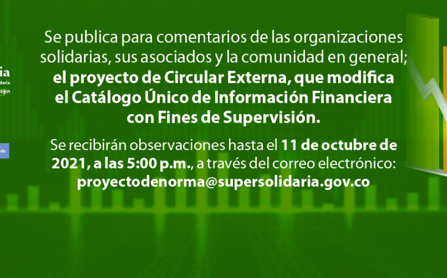 Proyecto norma modificación Catálogo Único de Información Financiera con Fines de Supervisión