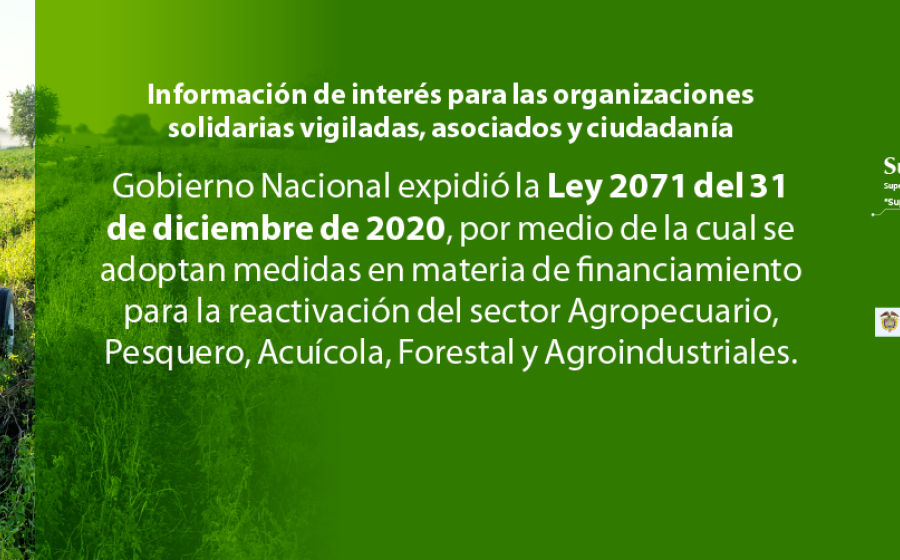 A través de la Ley 2071 de 2020, se adoptan medidas de financiamiento para la reactivación del sector agropecuario y otros