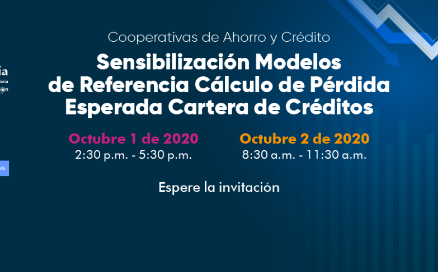 Sensibilización Modelos de Pérdida Esperada para la Cartera de Créditos
