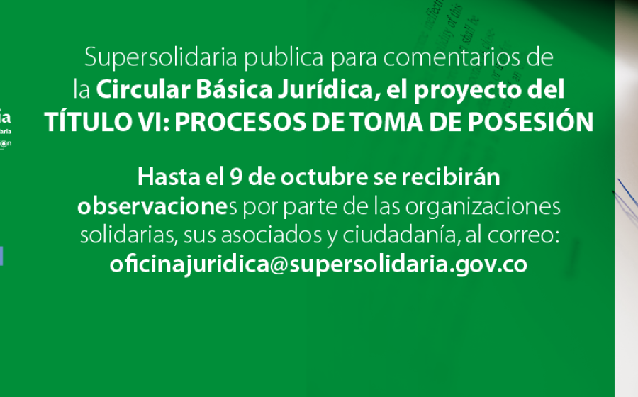 Para comentarios Título VI: Procesos de Toma de Posesión