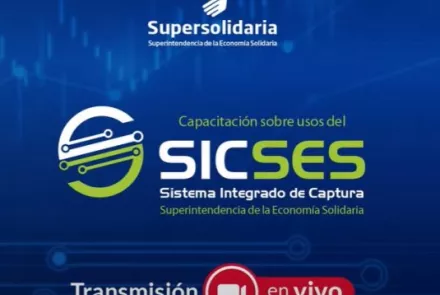 Video - Capacitación sobre usos del SICSES