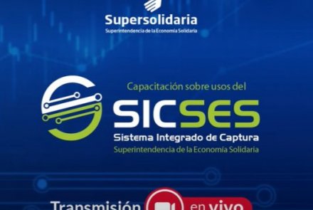 Video - Capacitación sobre usos del SICSES