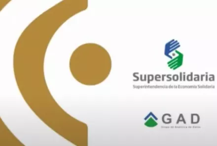 Fondo video imagen