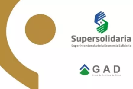 fondo video modelo de referencia supersolidaria